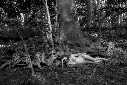 Lucy in the woods