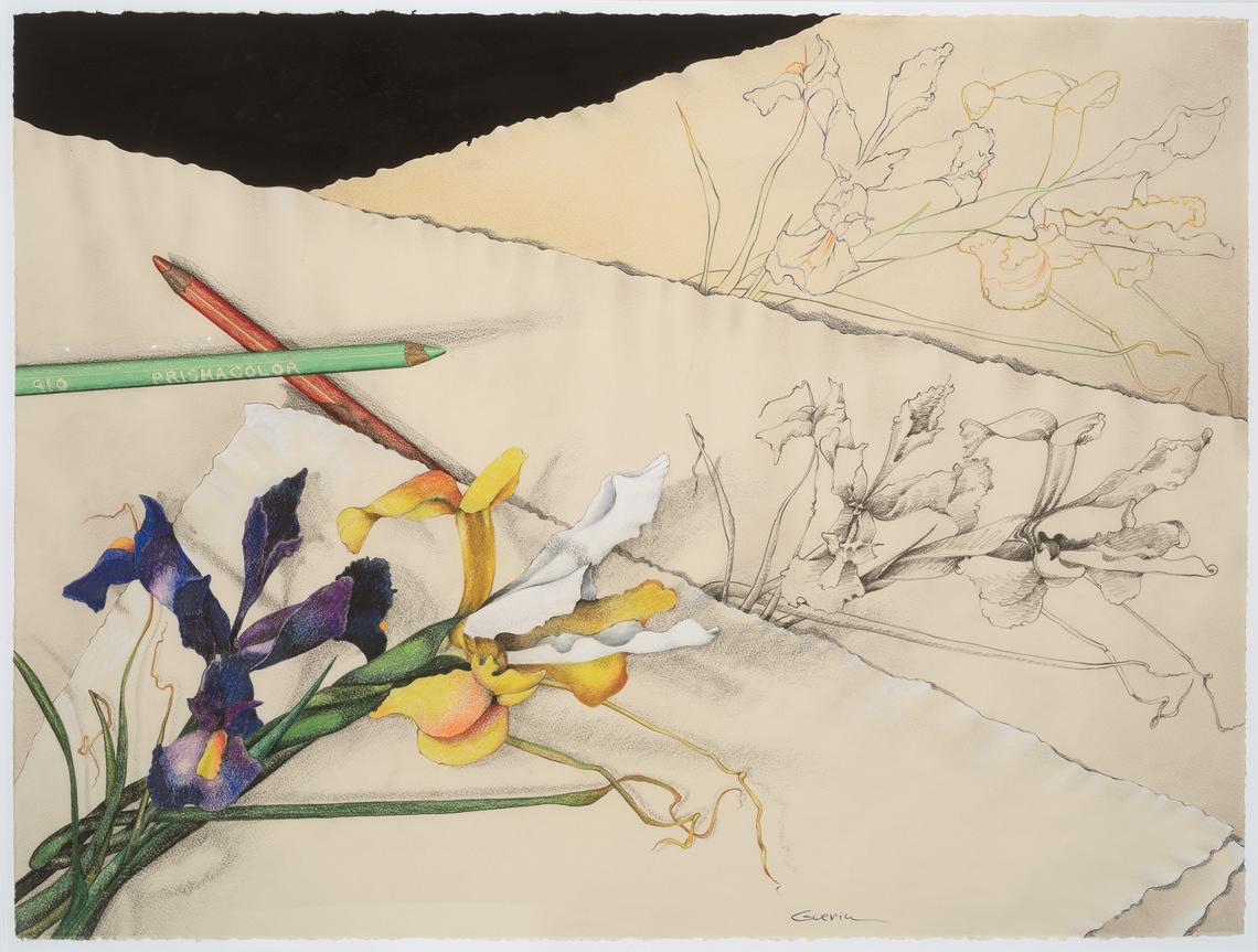 Yellow Iris with Green and Orange Pencils