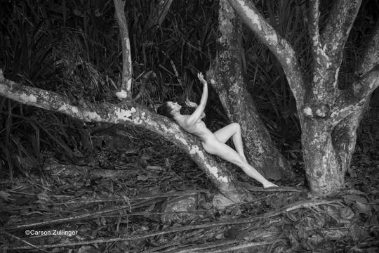 Anne Duffy