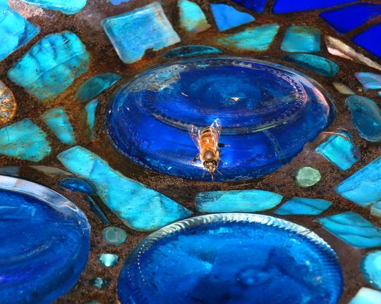 Native bee drinks from a well-used Celeste Kelly ceramic garden art bird bath