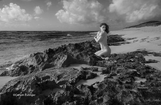 Carlotta Champagne